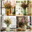 Tige marguerites-25131559