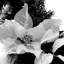 270cm Lighted Garland with Lights