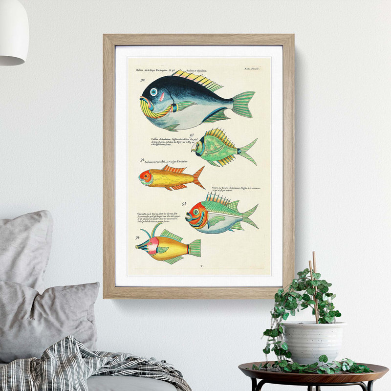East Indies Fish Illustrations XIX by Louis Renard - Picture Frame Graphic Art Print, 48cm H x 36cm W x 2cm D, Oak Framed