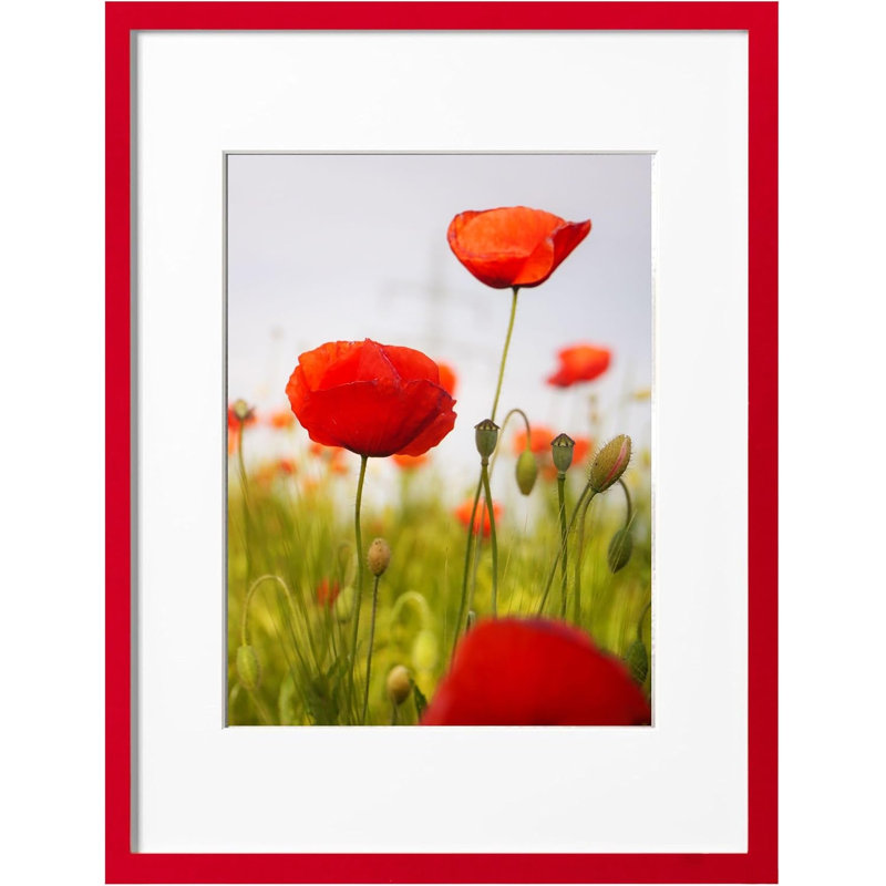 16x20 Picture Frame with 11x14 Mat, Red, 1-Pack