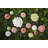 Maria Flor Dessert Plate Cosmos