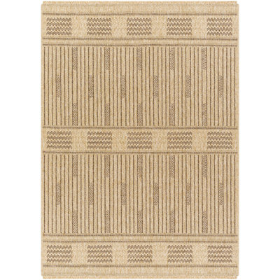 Indoor / Outdoor Rug