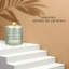 Pot en verre Tranlucent Apothecary