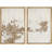 Leaves "Distressed Tan Brown Neutral Artwork, Classic Minimalist Wall Pictures, Framed Canvas Giclee Print 2 Pieces Wall Art Set" 16x24x2 pcs, 24x36x2 pcs-92285583-119463627-92285586