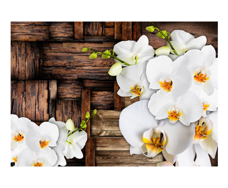 Malu Peel & Stick Roll, 2.3' L x 38.6" W