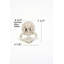 Brass Door Knocker-1579100046