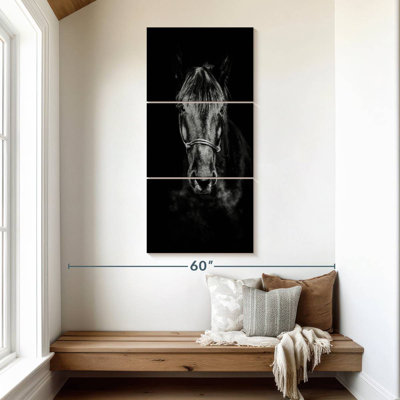 Black Horse Up Close