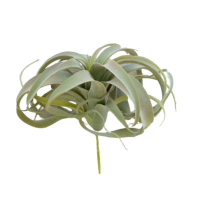  Très grande plante Tillandsia H 10,5 po - Fausse plante grise pour verdure fantaisiste et plantes grasses (ensemble de 6)