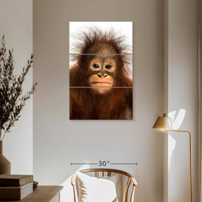 Brampt Hairy Forest Brampt, 57" H x 36" W
