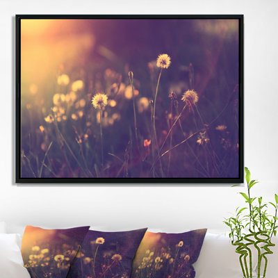 Vintage Dandelion Meadow Photo - Print