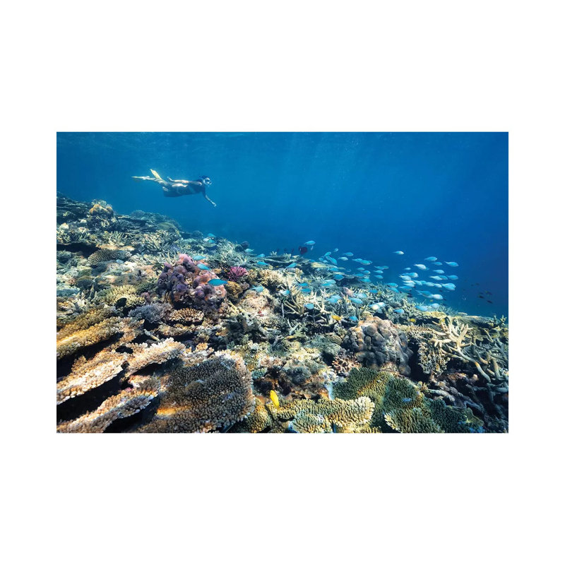 Underwater Reef With Snorkelling Girl by James Vodicka - Wrapped Canvas Gallery-Wrapped Canvas Giclée, 45.72cm H x 66.04cm W