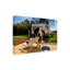 Art sur toile Kristof Claeys-105650128