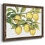 «Ripe For Picks II», peinture sur toile encadrée-872248531-872248530