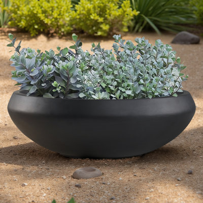 Pot à fleurs en béton, 23,3 pouces de diamètre x 8 pouces de hauteur, très grand pot de plantes grasses avec trou de drainage, pot de fleurs à ouverture de 21 pouces pour les herbes, les bonsaïs et les plantes à racines peu profondes, jardinières en béton pour le jardin intérieur extérieur, décoration de patio, grand-noir