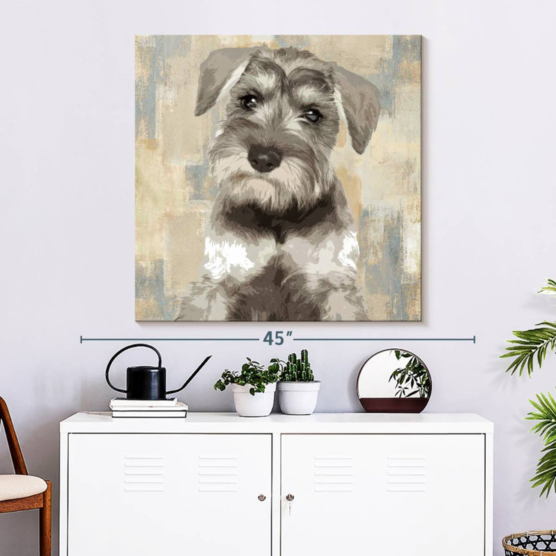 Crowle Miniature Schnauzer