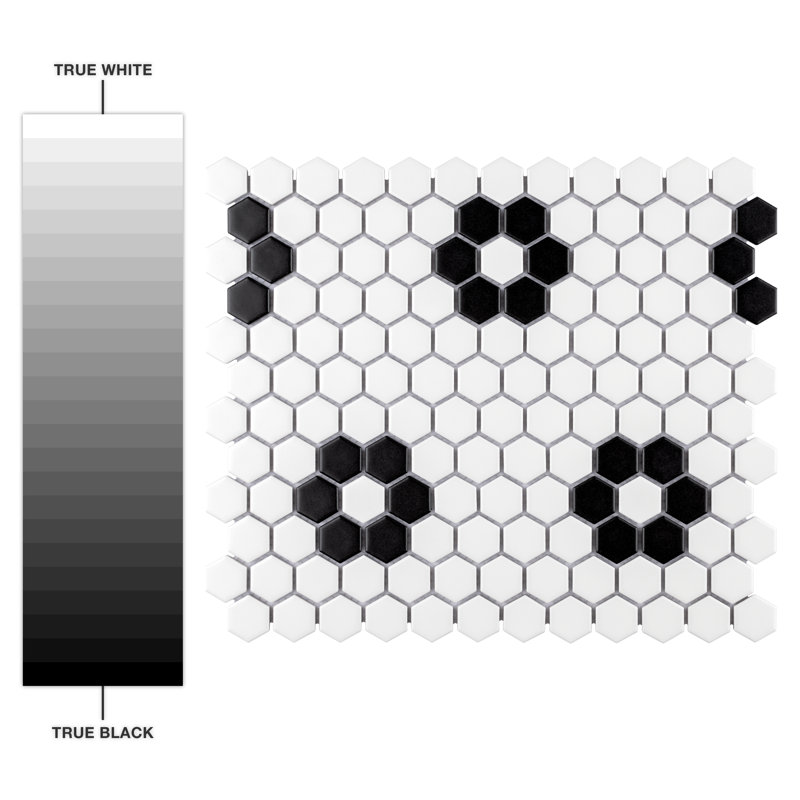 Metro 0.9" x 0.9" Hex Porcelain Honeycomb Mosaic Wall & Floor Tile, White/Black