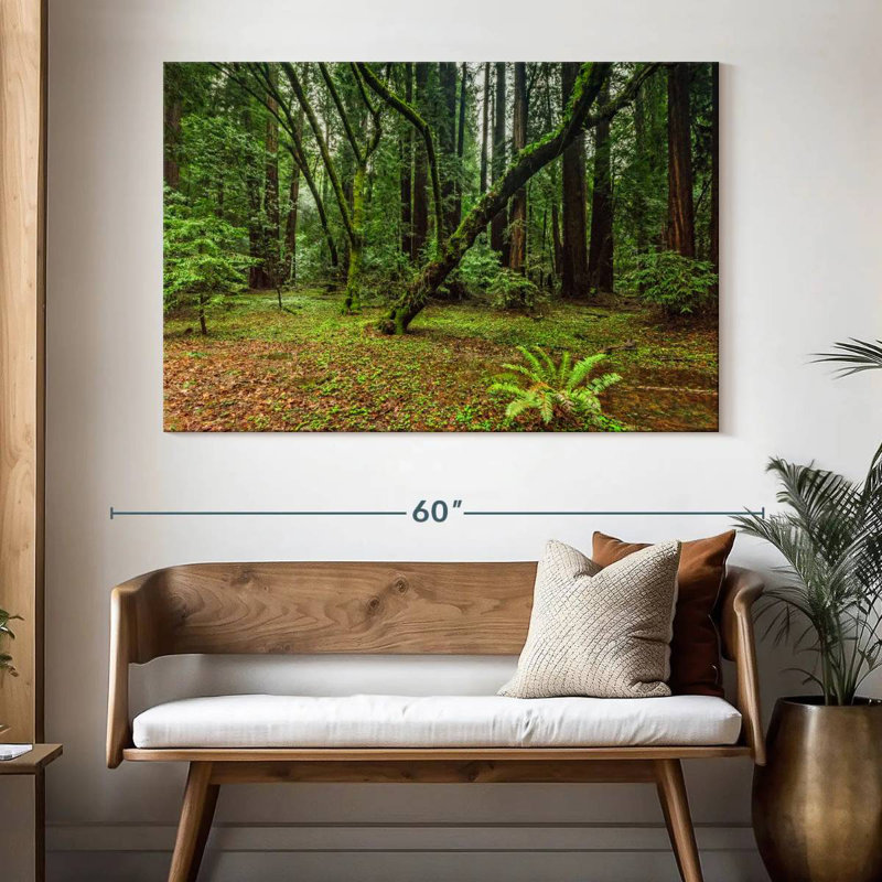 Forêt Alvord Muir Woods, H 34 po x l 51 po