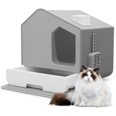 Donnaven Litter Box with Scoop
