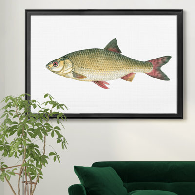 «Small Antique Fish II», reproduction de photo encadrée