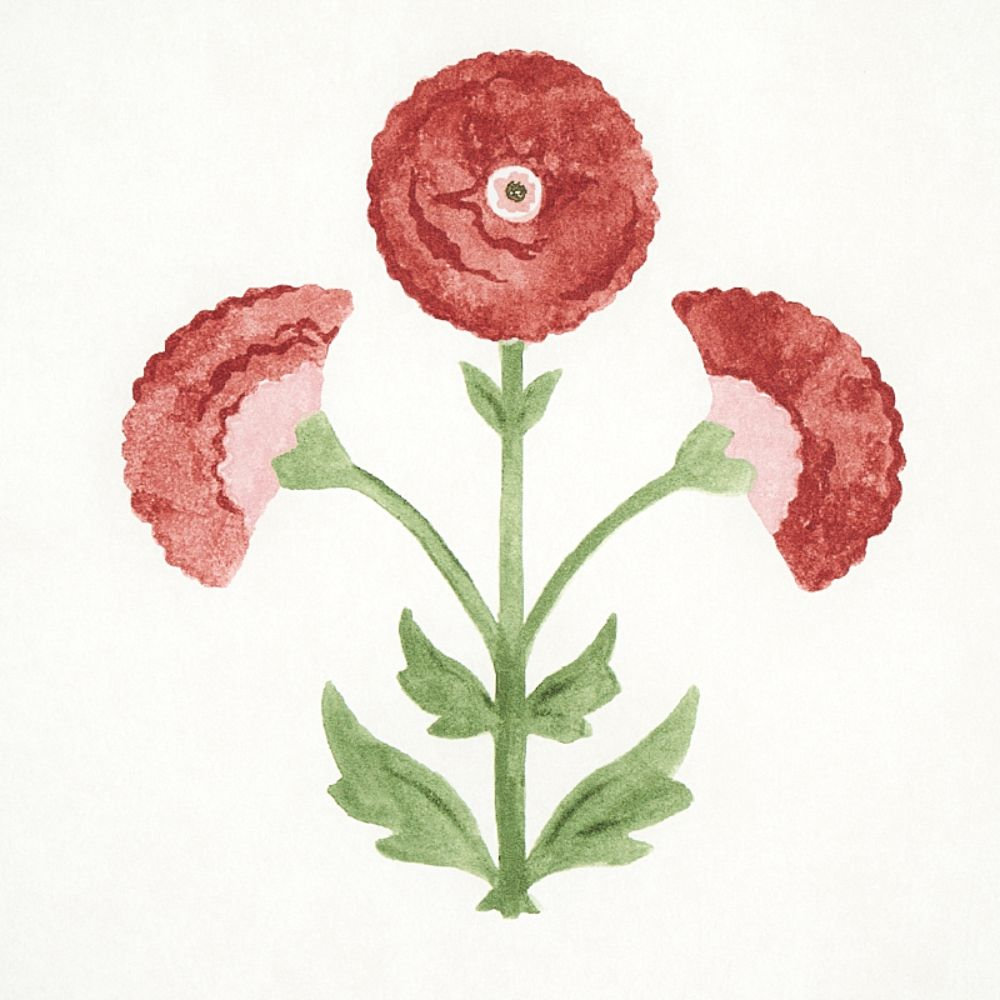 Saranda Flower Wallpaper Roll, Cardinal