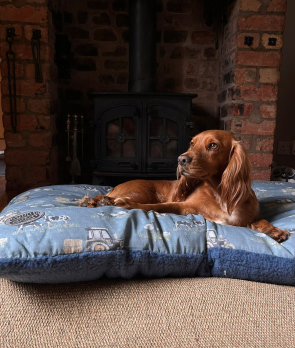 Dardel Pet Bed Cushion, Blue, 71.12cm W x 119.38cm L