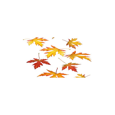 Autumn Leaves - Wrapped Canvas Print