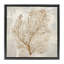Cadre flottant botanique beige Tides, design par Hannah Dawson-2025077542-2025077541