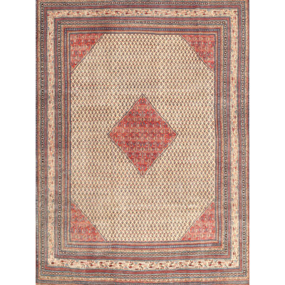 Oriental Indoor Rug