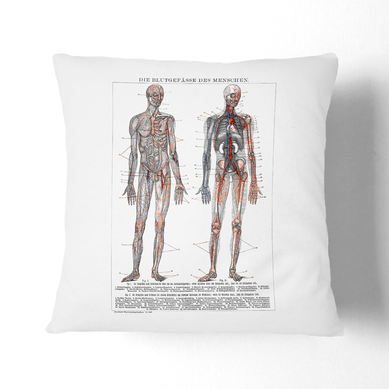 Square Throw Cushion, 55cm H x 55cm W x 20cm D