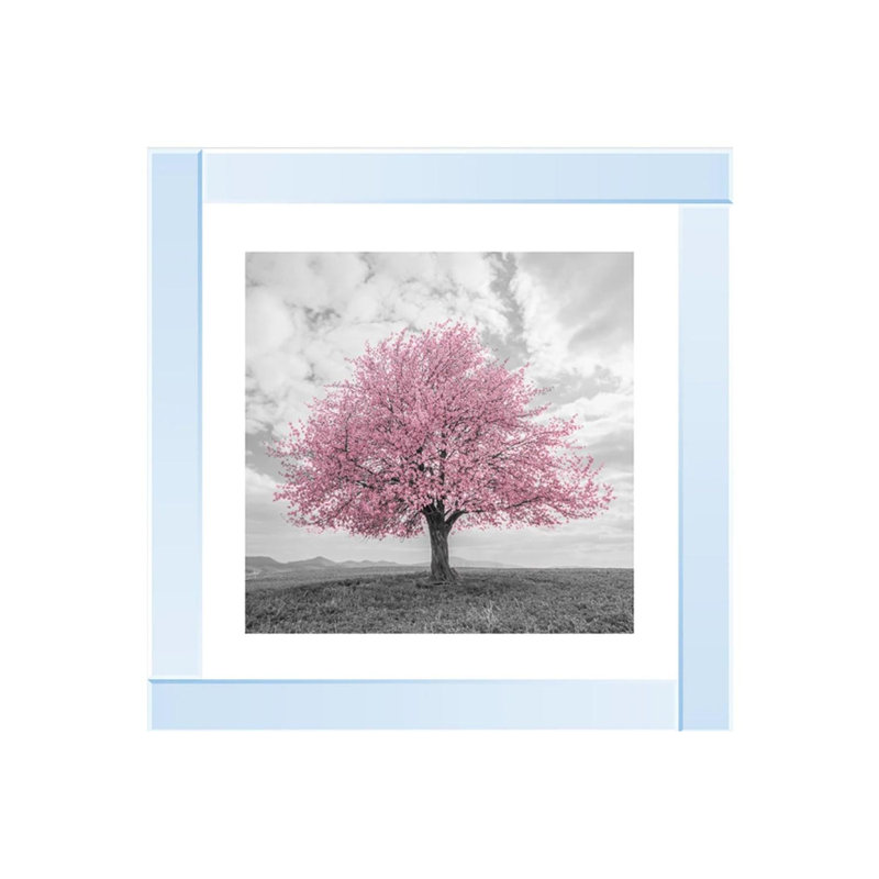 Mirror Frame Print on Canvas