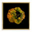 Cadre flottant chevauchant des feuilles de ginkgo, design par Beth Adoette-1070999230-1070999218