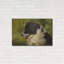 «Border Collie Garden» par John Silver-422630235