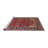 Oriental Indoor Rug-144254843