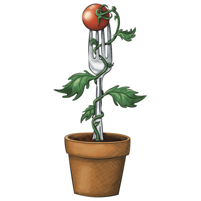 Leum " Tomato Plant " by Ashleymillerdesigns