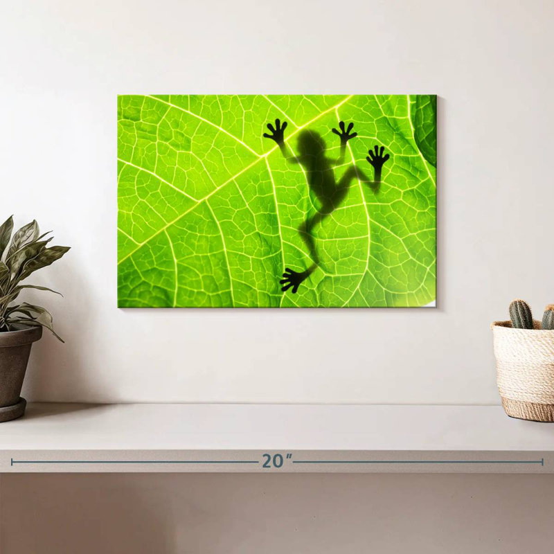 Frog Leaf Shadow, H 8 po x l 12 po
