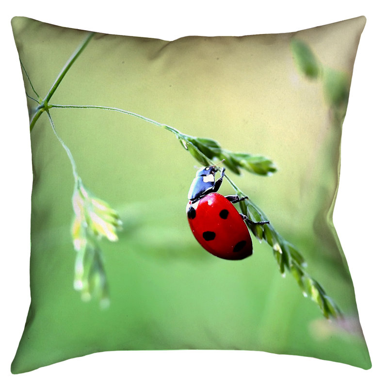 Myriam Ladybug Reversible Pillow Cover, 20" x 20"