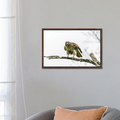Intense 1 Piece Single Picture Frame and Floater Frame Wall Art on Canvas