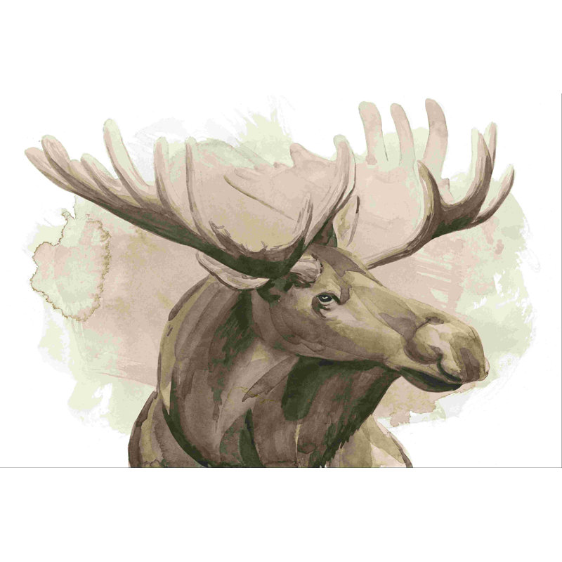 Bull Moose I, L 36 po x H 24 po