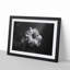 Geranium Flower in Abstract - Picture Frame Graphic Art Print-55726980-55726981