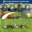 6m² Chicken Coop
