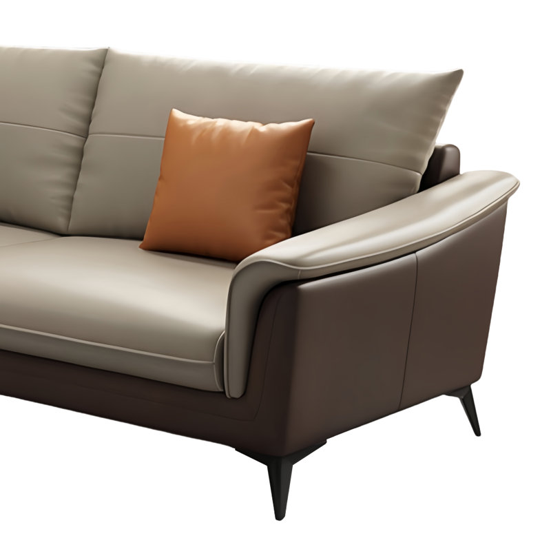 Modern light luxury simple sofa combination, Leather Match
