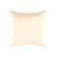 Silk Throw Square Pillow Cover & Insert