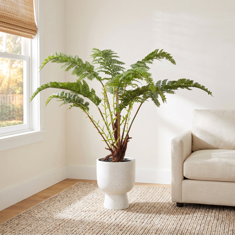 Fern 20 " H Faux Fern Plant in Plastic Pot