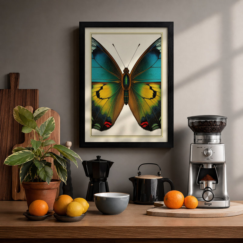 Symmetrical Butterfly Study Botanical - Framed Print, A1 - 84.1 x 59.4 cm, Black