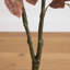 3,5 pi Arbre d'automne artificiel cornouiller d'automne