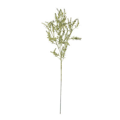Anastasija Arrangement
