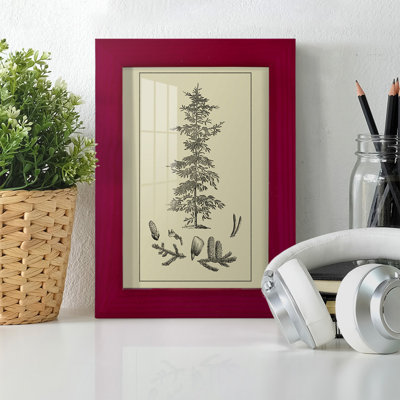 Arbor Study II, reproduction d'art encadrée