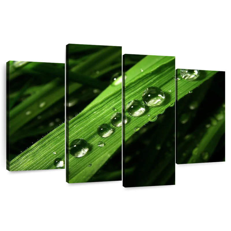 Harnek Water Drops On Leaf, 22" H x 36" W