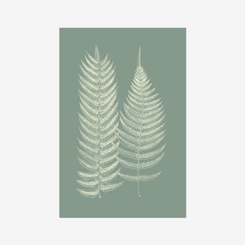 Ferns On Sage IX by Vision Studio - Painting, 30cm H x 20cm W, Wrapped Canvas