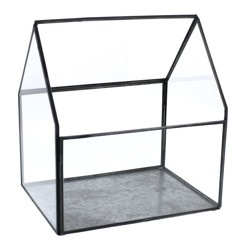 Terrarium en verre Jura, H 8,75 po x l 8,75 x P 8,75
